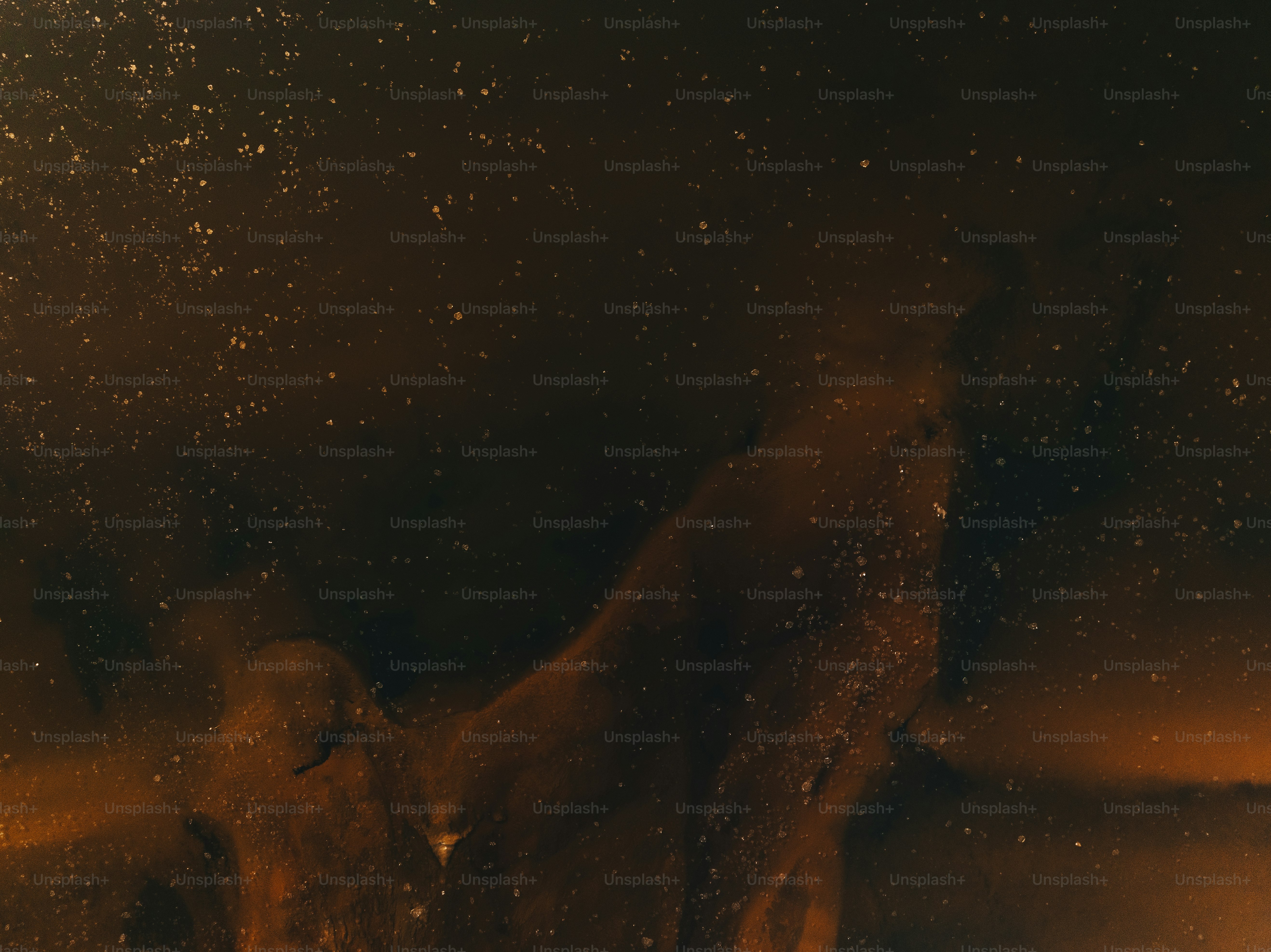 a dog standing in the snow at night